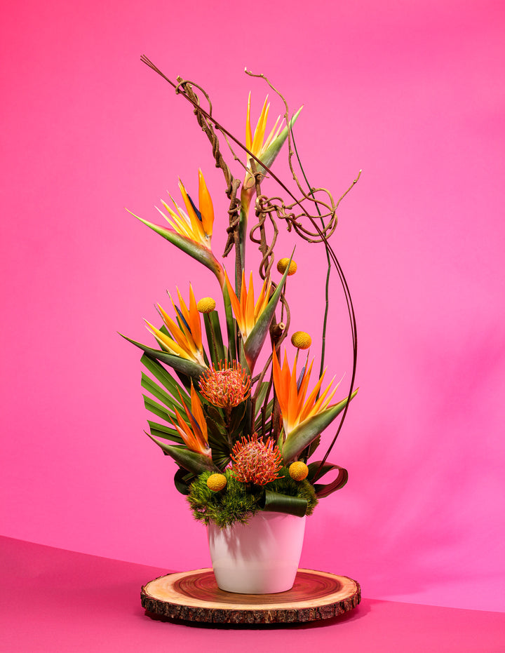 UNIQUE TROPICAL ARRANGEMENTS