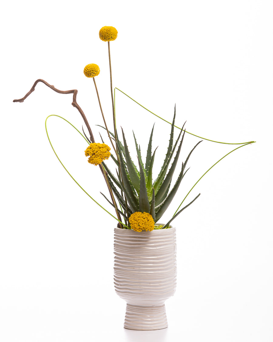 Botanical
