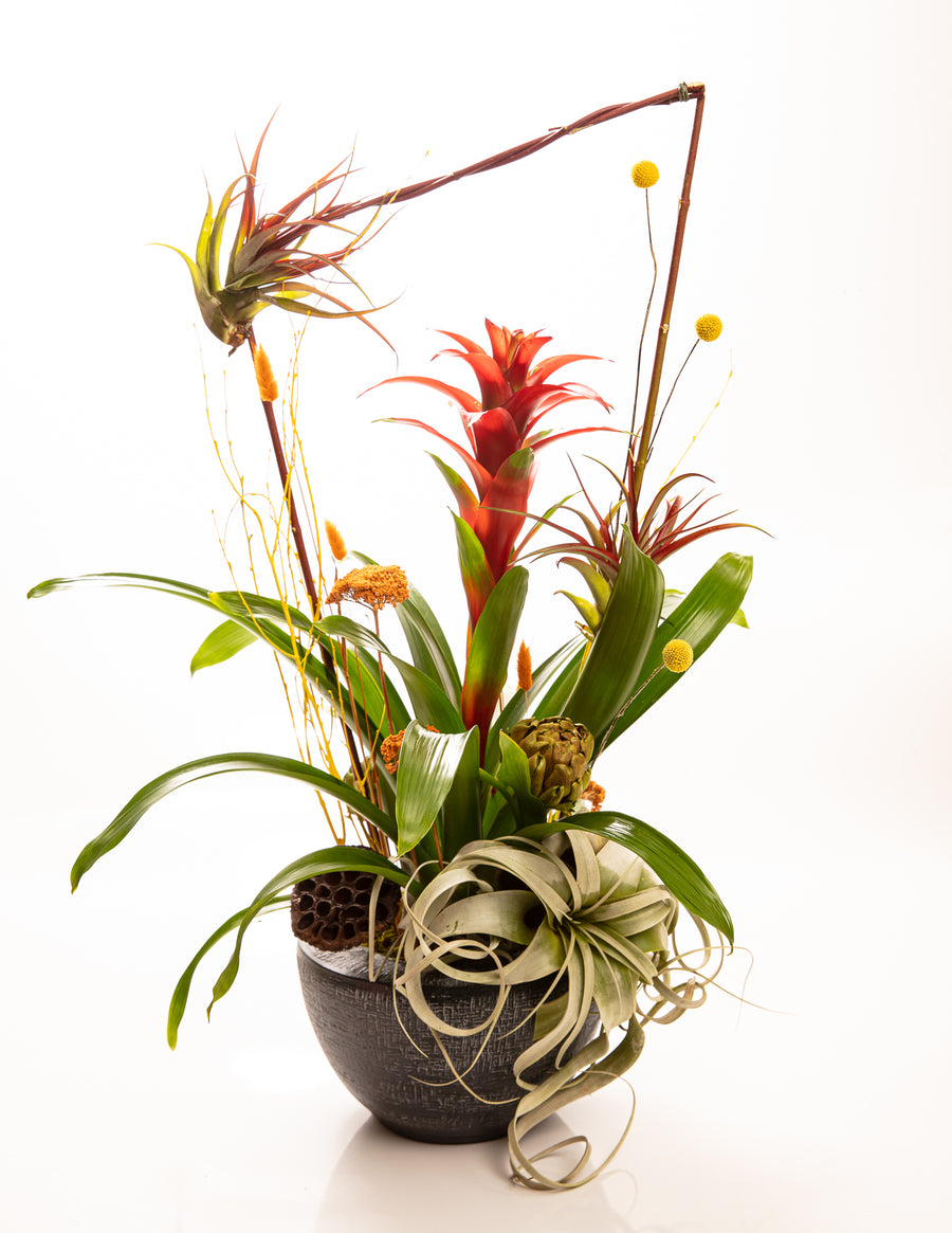 Botanical