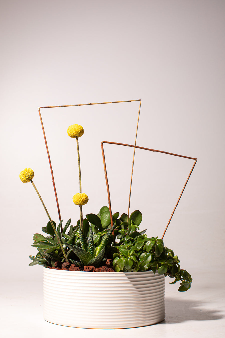 Botanical