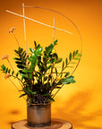 Botanical