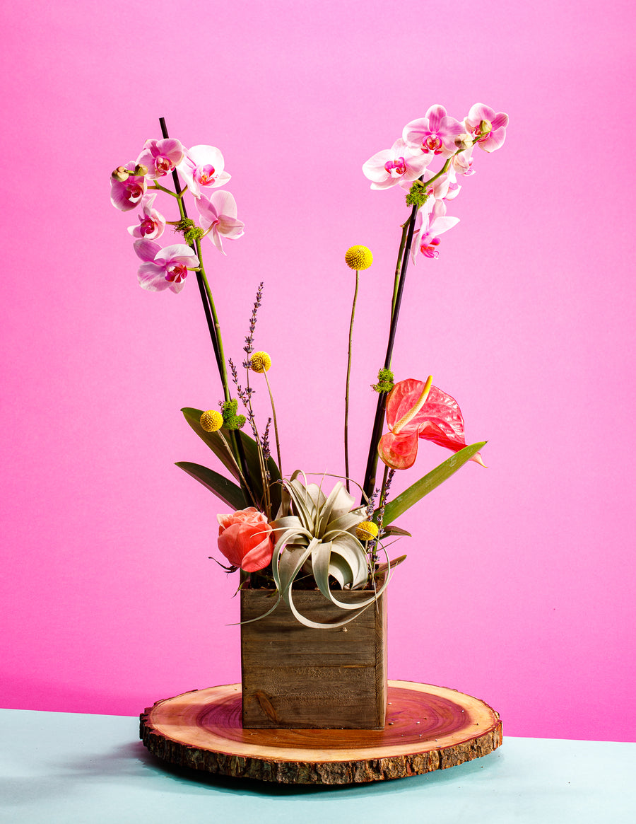 Botanical