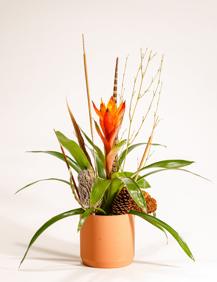 Botanical
